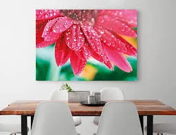 Digital Canvas Designs