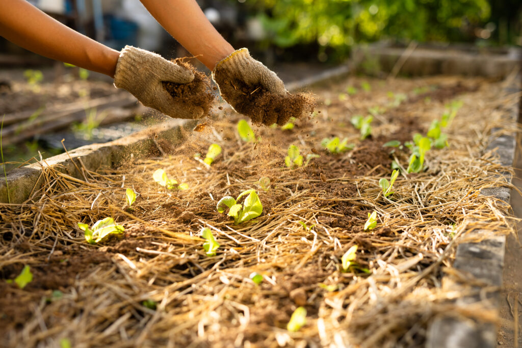 How to Use Compost in the Garden