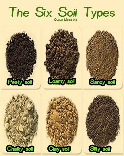 Soil Basics Every Beginner Gardener Must Know