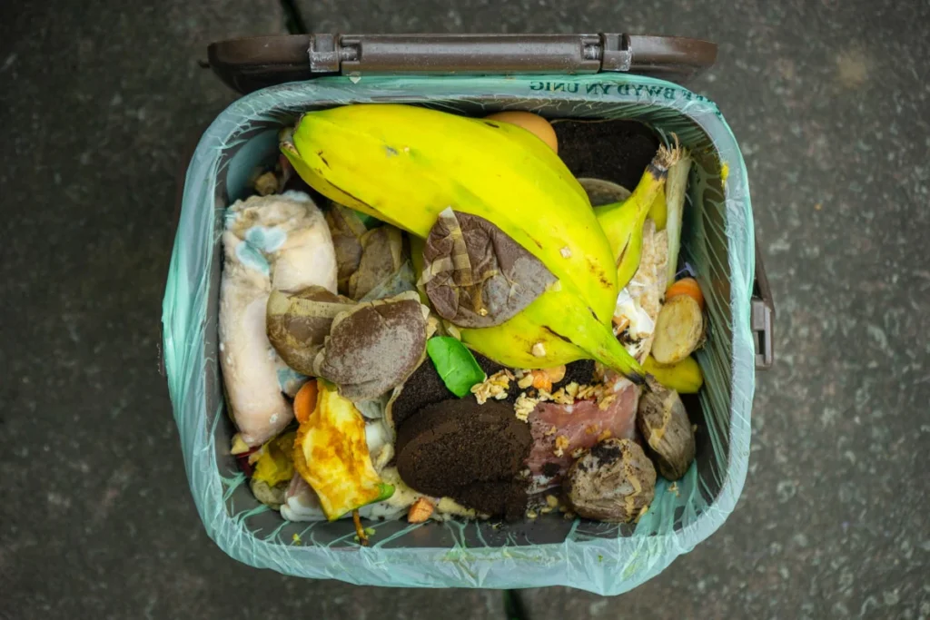 Common Composting Problems