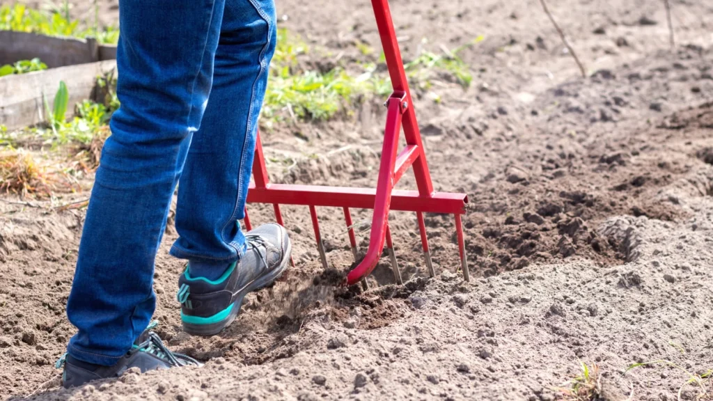 How to Prepare Garden Soil