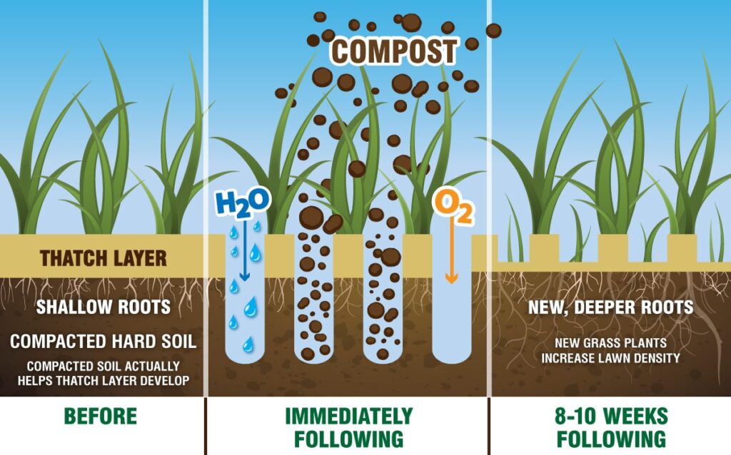 How to Use Compost in the Garden