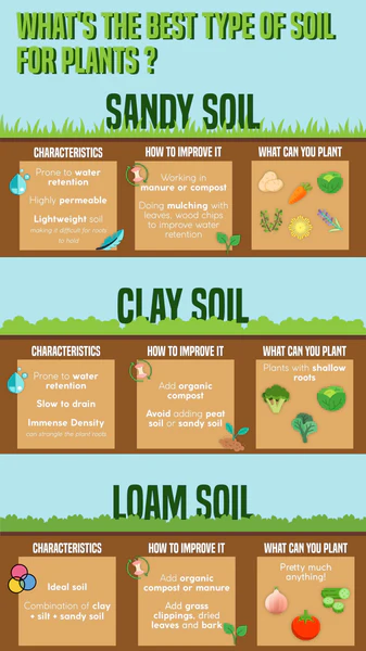 Soil Basics Every Beginner Gardener Must Know
