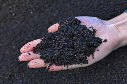 How to Use Compost in the Garden