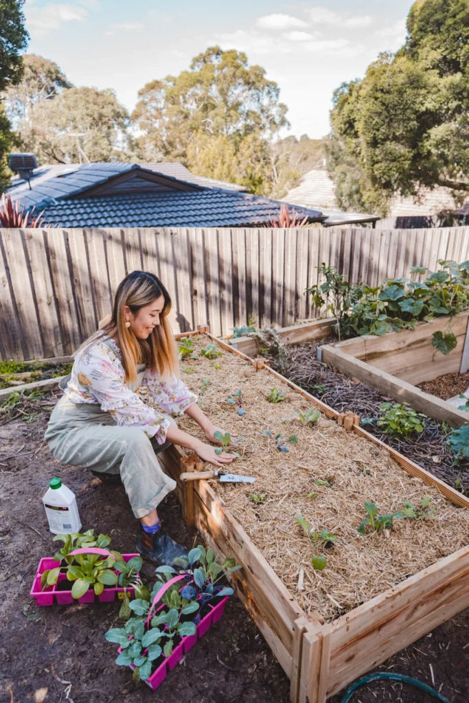 Gardening for Beginners
