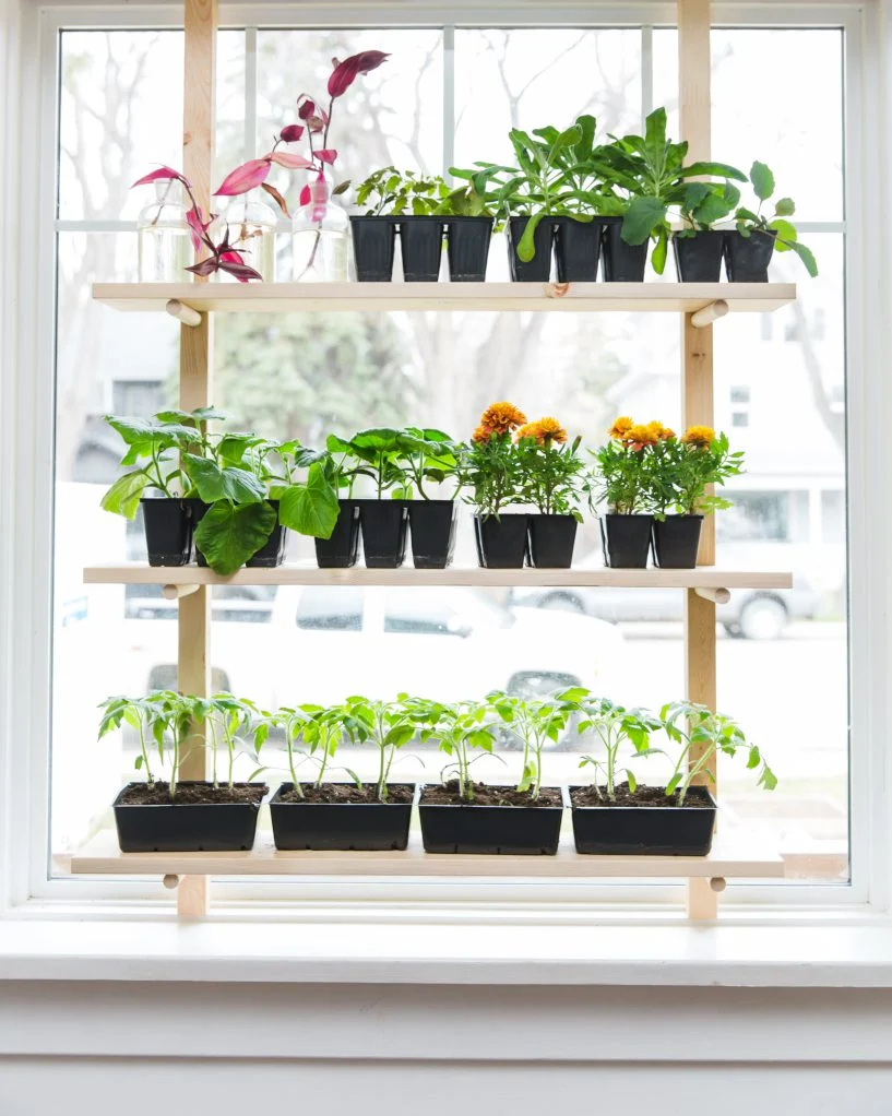 Right Location to Plant Seeds