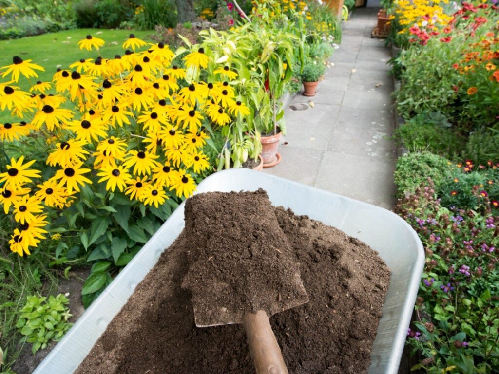 How to Use Compost in the Garden