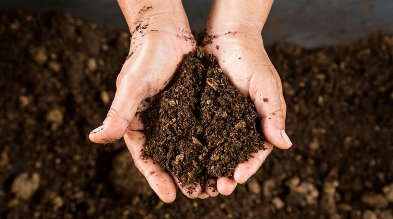 Soil Basics Every Beginner Gardener Must Know