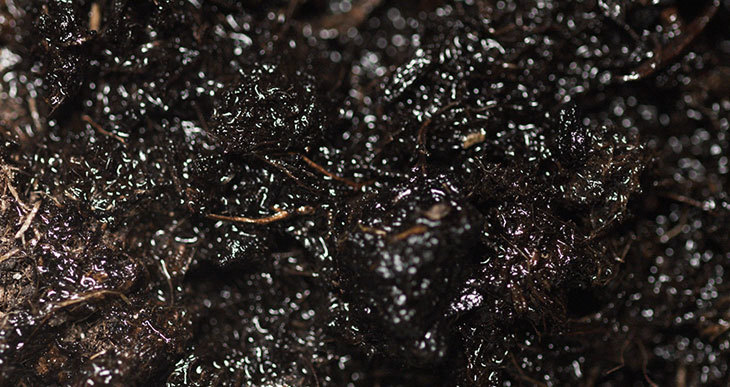 Common Composting Problems