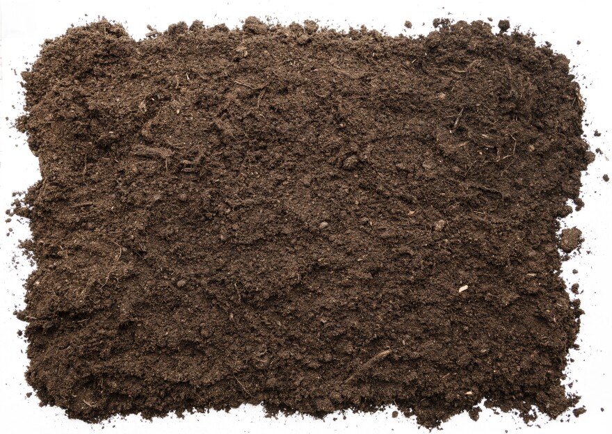 How to Prepare Soil for Garden
