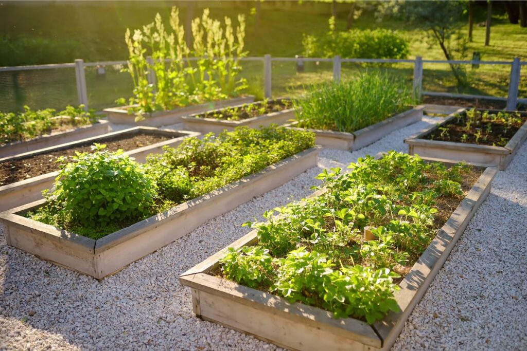 Right Location to Plant Seeds