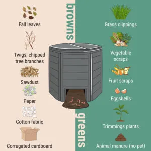 Green and Brown Materials in Compost