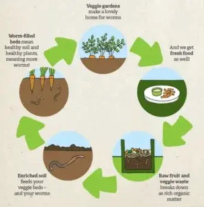 How to Make Compost at Home