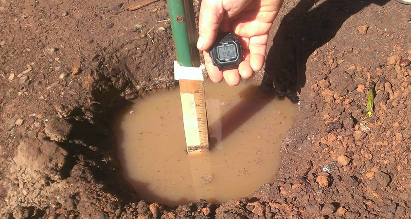 Drainage and Water Movement in Garden Soil