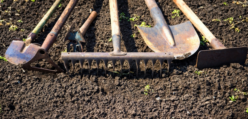 How to Prepare Garden Soil