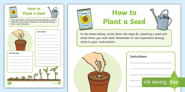 How to Plant Seeds