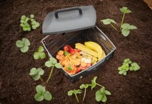 What You Need to Make Compost