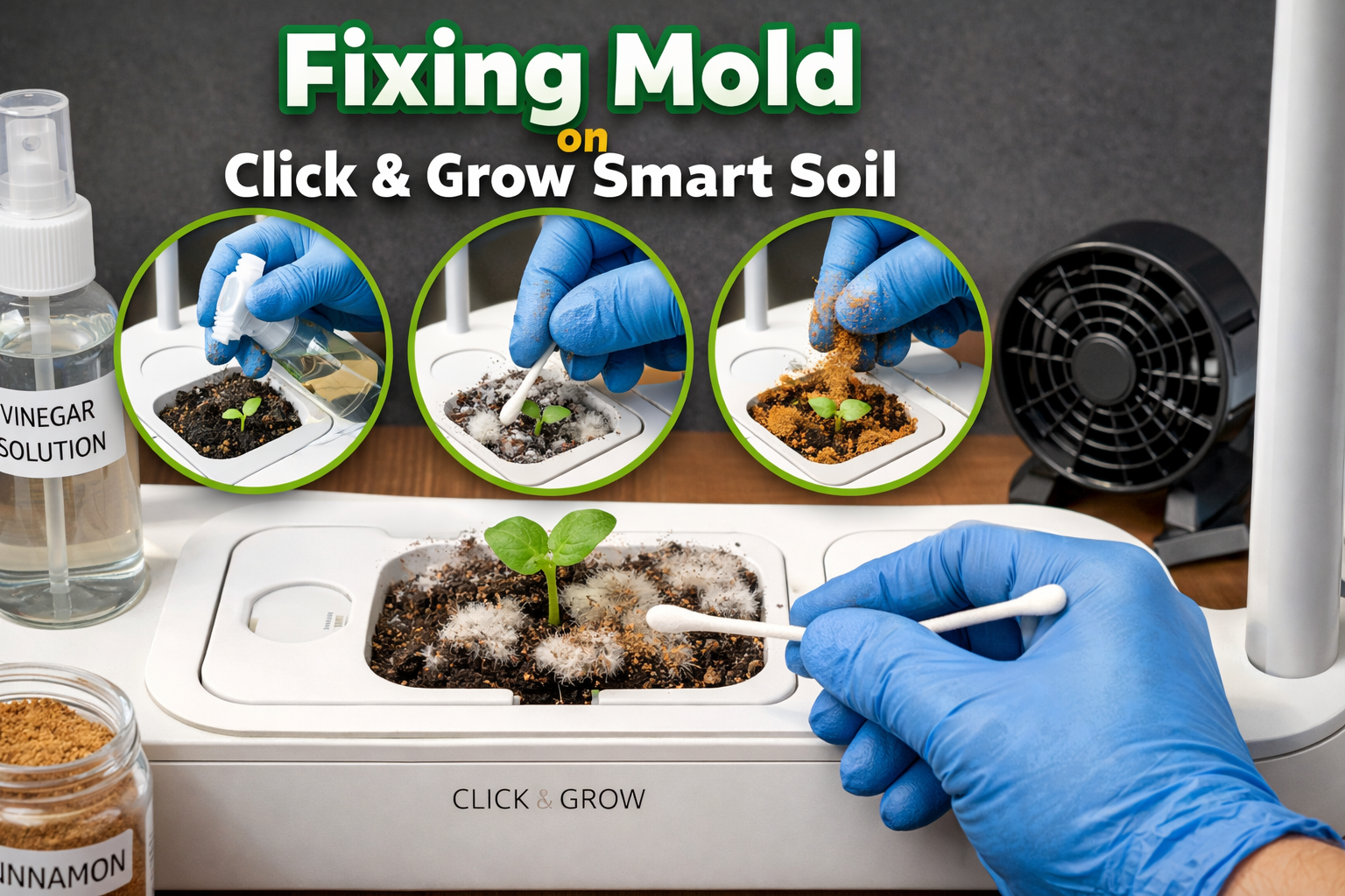 Fixing Mold on Click & Grow Smart Soil