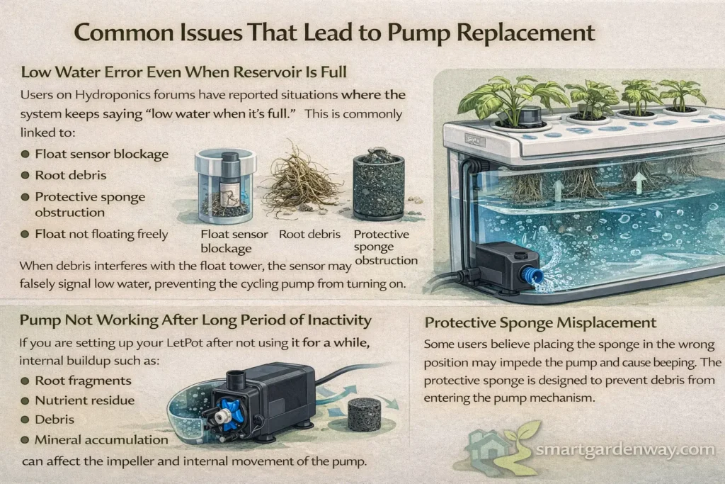 Common Issues That Lead to Pump Replacement