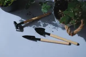 Planting and Transplanting Hand Tools