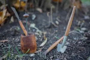 Planting and Transplanting Hand Tools