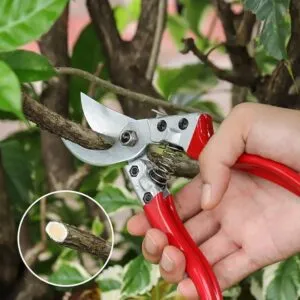 Pruning and Cutting Hand Tools