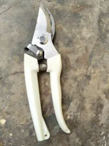 Pruning and Cutting Hand Tools