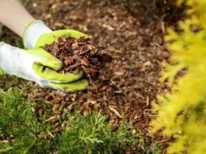 Soil and Garden Maintenance Tools