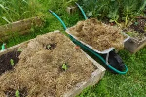 Soil and Garden Maintenance Tools