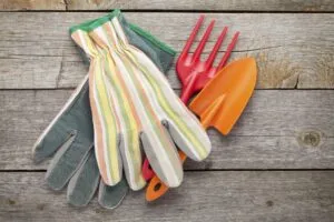 Support and Protection Tools