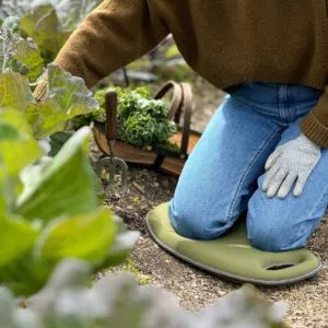 Support and Protection Tools