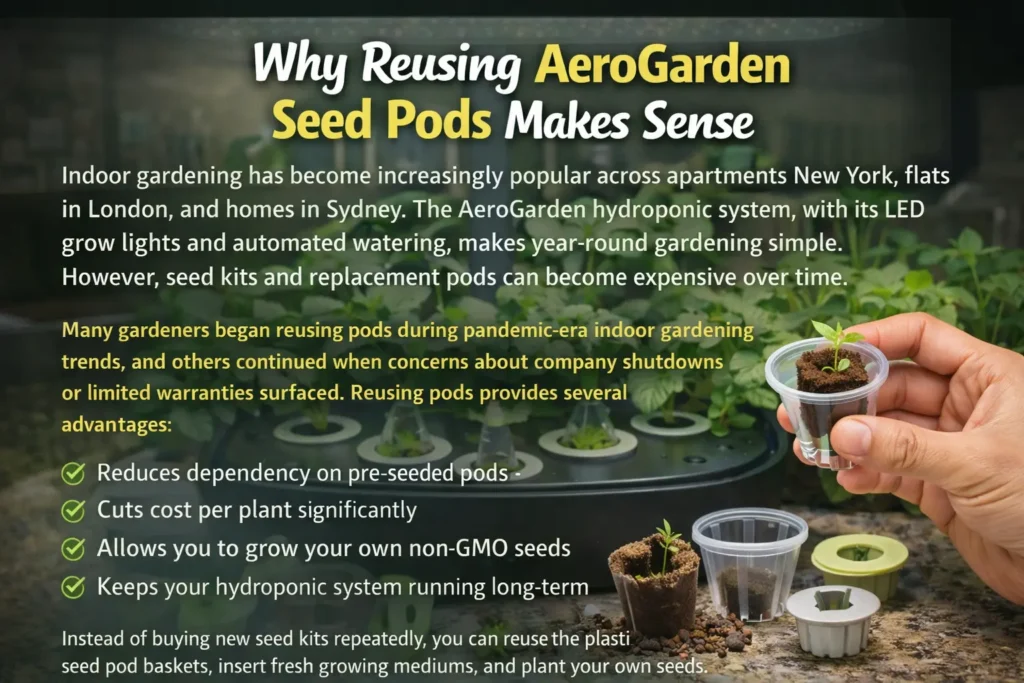 Why Reusing AeroGarden Seed Pods Makes Sense