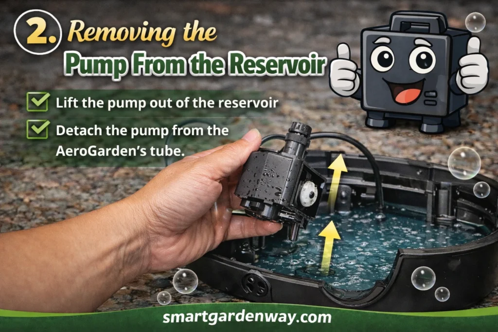 Removing the Pump From the Reservoir
