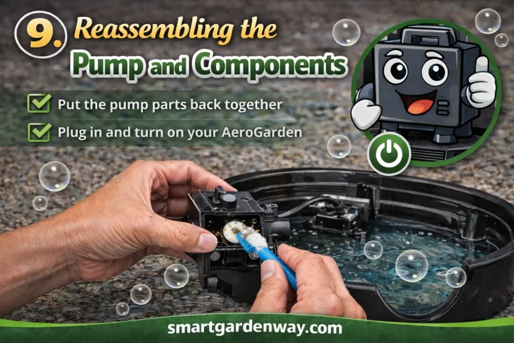 Reassembling the Pump and Components