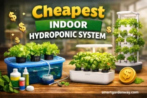 Cheapest Indoor Hydroponic System: DIY & Budget Grow Kits
