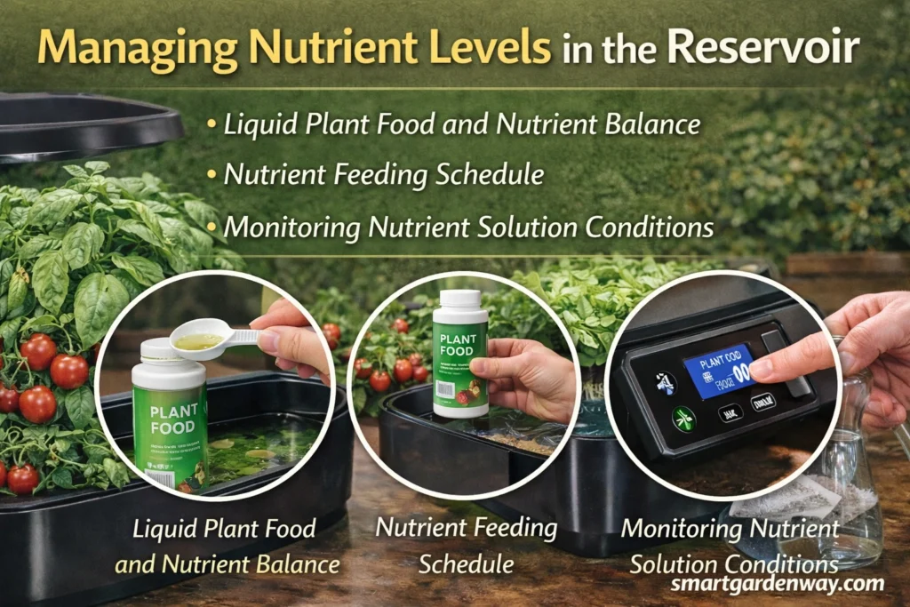 Managing Nutrient Levels in the Reservoir