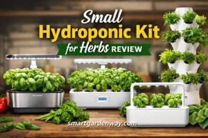 Small Hydroponic Kit for Herbs Review