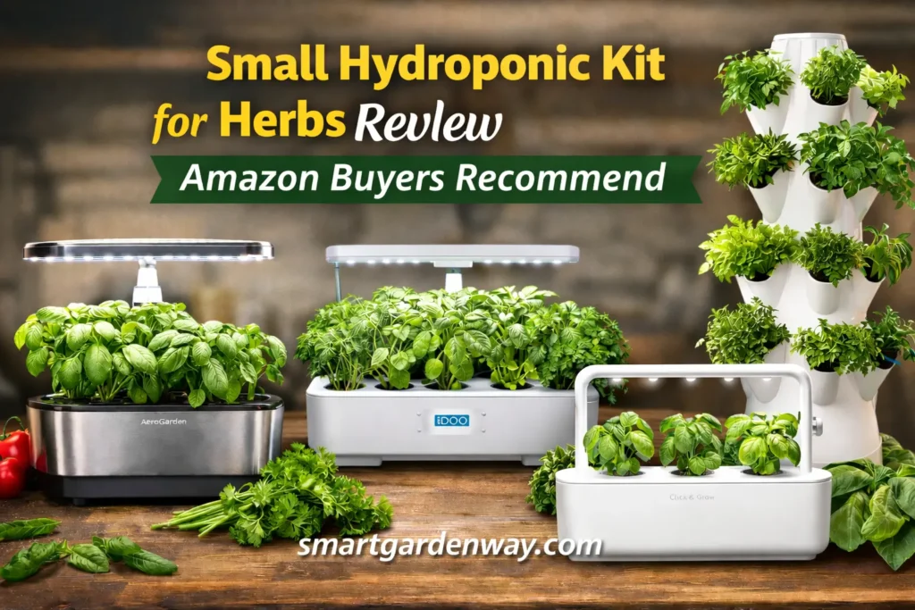 Small Hydroponic Kit for Herbs Review Amazon Buyers Recommend