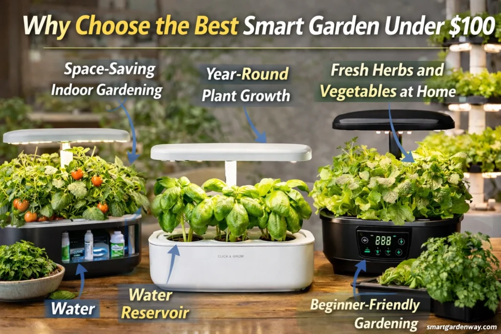 Why Choose the Best Smart Garden Under $100